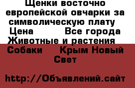 Щенки восточно европейской овчарки за символическую плату › Цена ­ 250 - Все города Животные и растения » Собаки   . Крым,Новый Свет